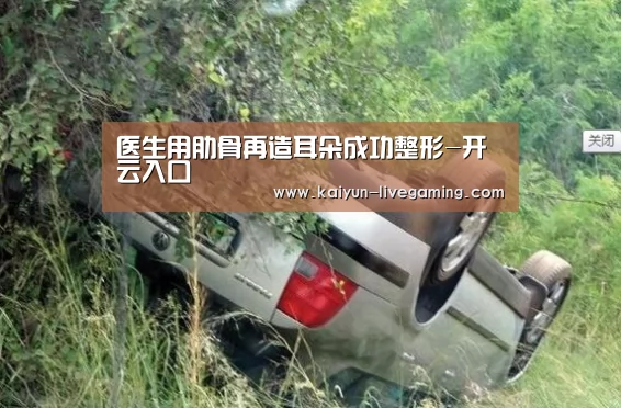 开云入口