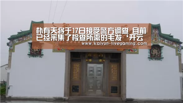 开云APP