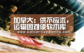 加拿大:供不应求,运输困难使软木库存积压:开云APP(图1) 开云下载