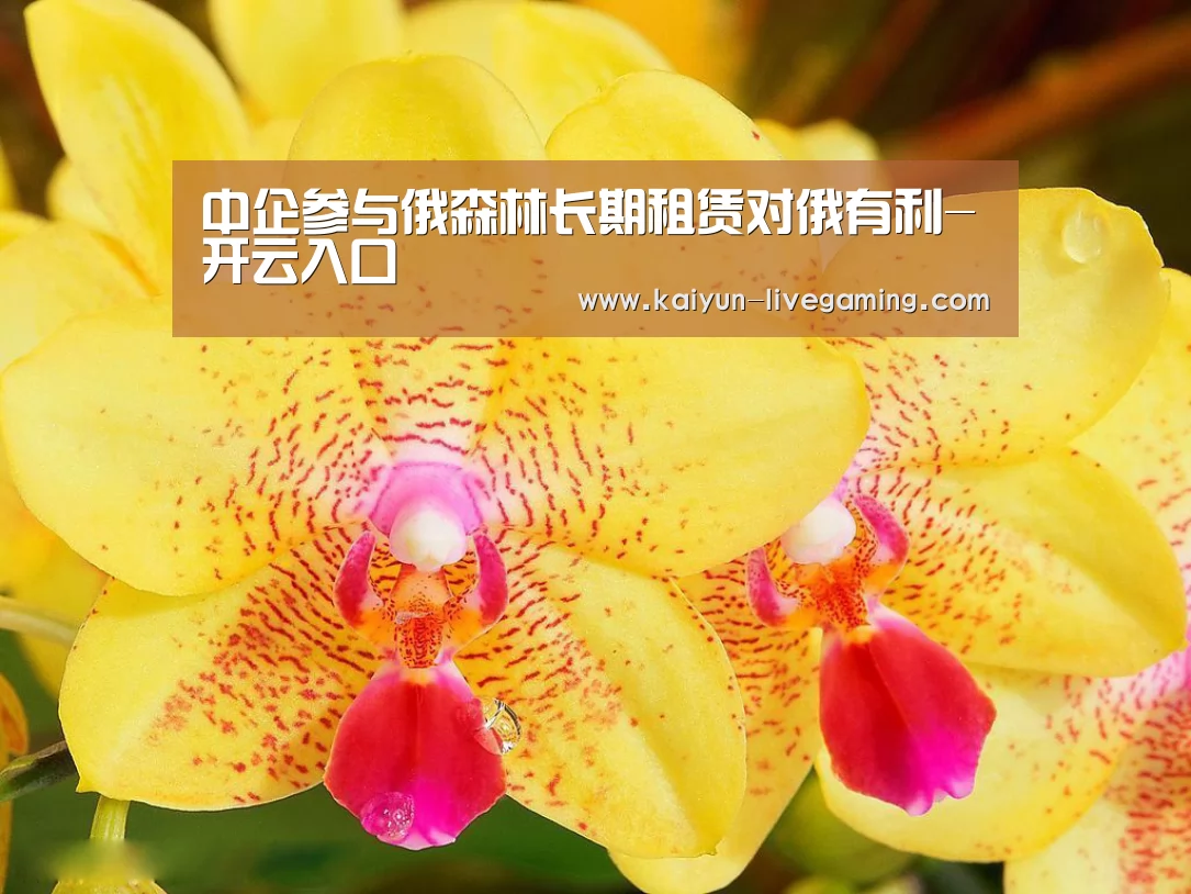 开云下载