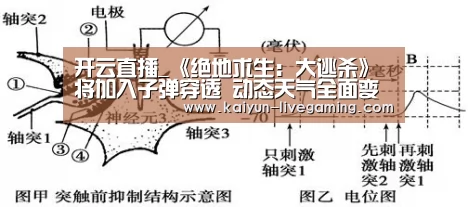开云入口