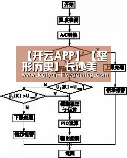 开云入口