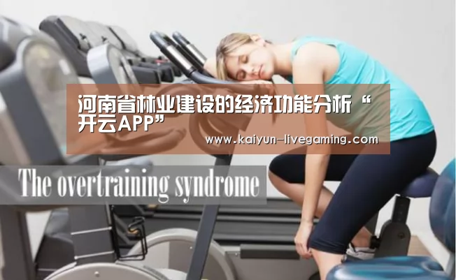 开云入口