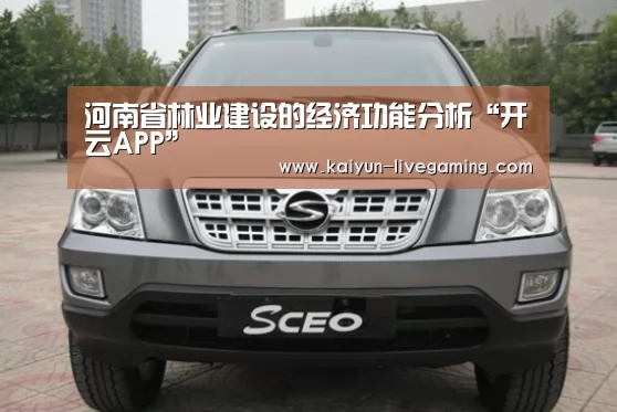 开云入口