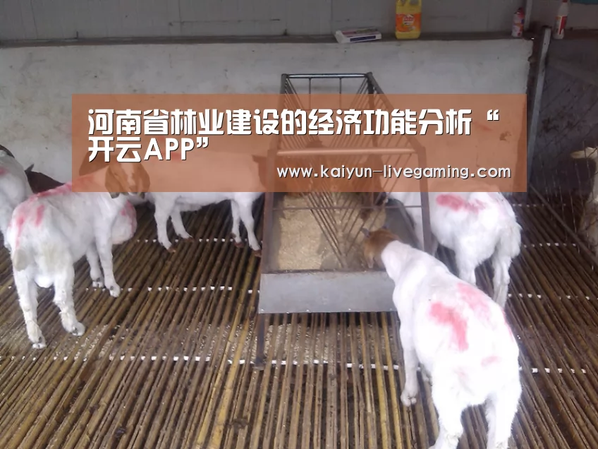 开云入口