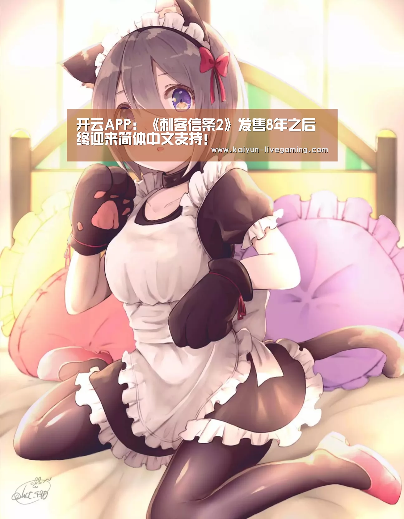 开云入口