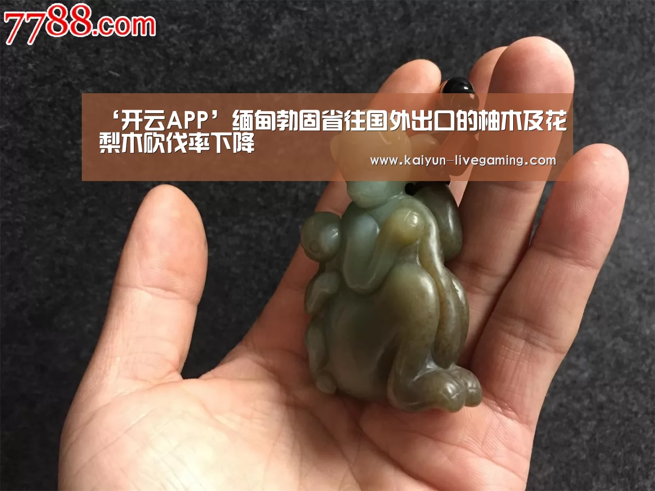 ‘开云APP’缅甸勃固省往国外出口的柚木及花梨木砍伐率下降(图1) 开云入口