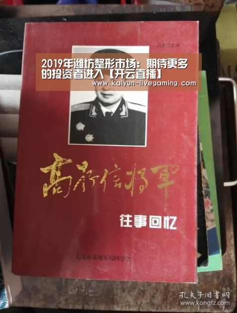 2019年潍坊整形市场:期待更多的投资者进入【开云直播】(图1) 开云直播