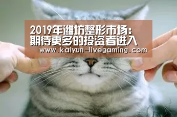 2019年潍坊整形市场:期待更多的投资者进入【开云直播】(图2) 开云APP