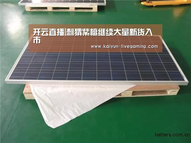 开云直播|刺猬紫檀继续大量新货入市(图4) 开云APP